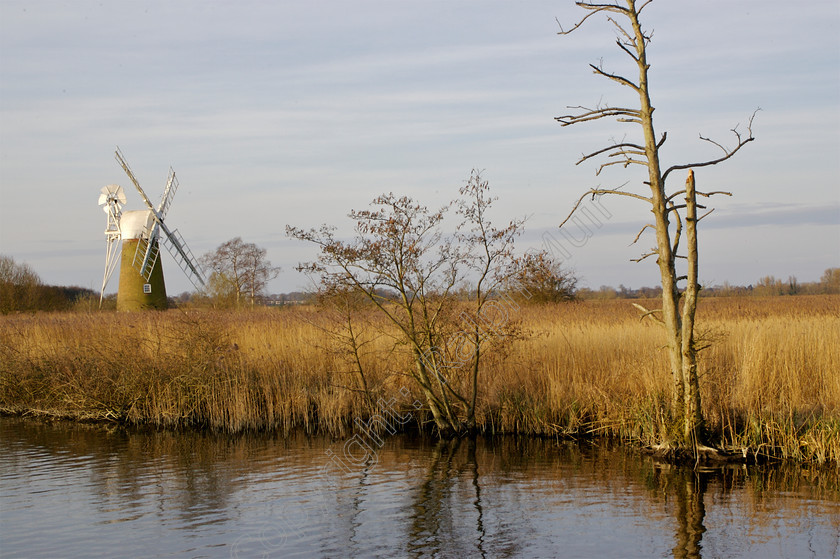 RM- 0086 
 How Hill, Norfolk Broads 
 Keywords: norfolk reeds river river ant windmill